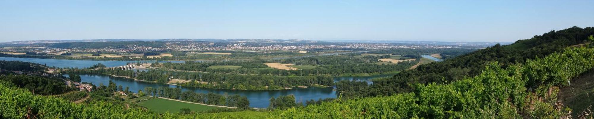 L'Ecrin De Vert Saint-Alban-du-Rhone ห้อง รูปภาพ